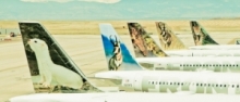 Viajar Com Animais